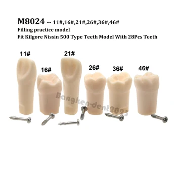 10 Adet Kilgore Nissin 500 Tipi Diş Değiştirme Standart Uygulama Dolum Vidalı Diş Modeli M8024 11# 16# 21# 26# 36# 46#