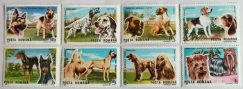 8 ADET, Romanya Posta Damgası, 1990, Köpek Örnekleri, Hayvan Damgası, Gerçek Orijinal, MNH