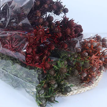 Ebedi Çiçek Ev Dekor Dekoration Fleurs Sechees Plantas Artificiales Düğün Koleksiyonu Seti Flores Brancas Pampas Çim