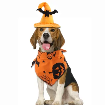 Karnaval Cadılar Bayramı Pet Seti Yarasa Şapka Kabak Tükürük Kedi Giyinmek Komik Aksesuarları Köpek Dekorasyon Pet Malzemeleri Popüler Giyinmek