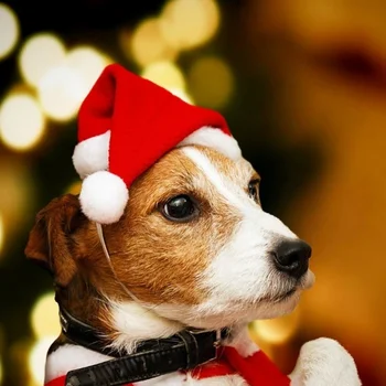 Noel Pet Şapka Noel Baba Şapka Kediler Köpekler için Köpek noel dekorasyonları Yeni Yıl Parti Malzemeleri Pet Kostüm