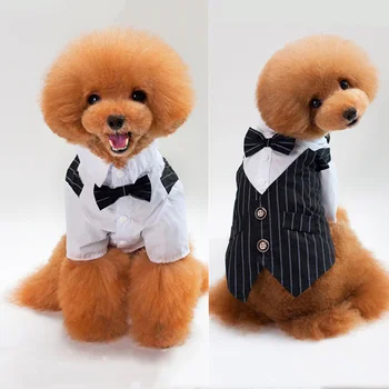 Pet Köpek Kedi Giysileri Prens Smokin papyon Takım Elbise Chihuahua Ceket Yakışıklı Evcil Köpek Takım Elbise düğün elbisesi Tulum Ceket S-XXL