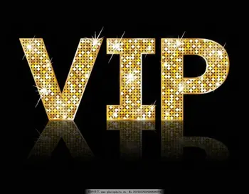 VIP Nakliye Maliyeti