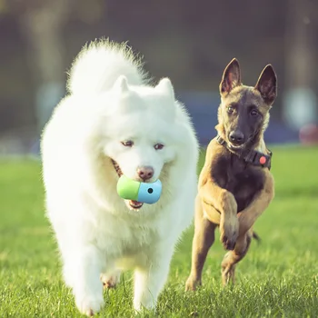 Yeni Pet Malzemeleri Köpekler Atlama Oyuncak Topları Silikon Bite Kaseler Komik Atmak Açık Sniffy Topları