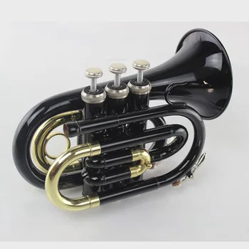 Yüksek kaliteli Bb B düz cep trompet, palmiye trompet enstrüman sert çanta, ağızlık, bez ve eldiven, siyah Lake
